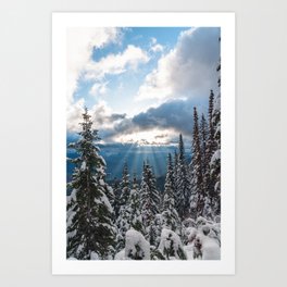 Winter Rays Art Print