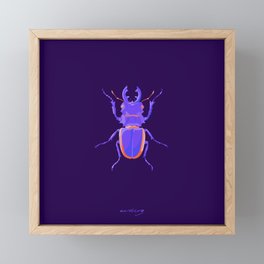 Entomologie Framed Mini Art Print