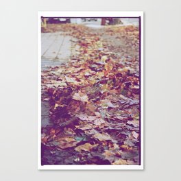Autumn Path Canvas Print