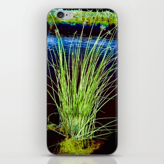 Emergence iPhone & iPod Skin