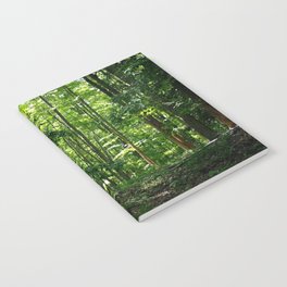 Pine tree woods Notebook