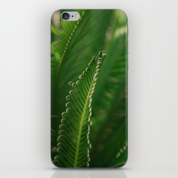 fern composition no. 1 iPhone Skin