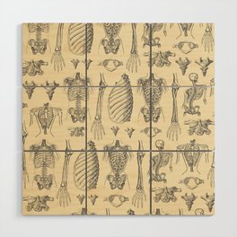 Anatomy Tan Wood Wall Art