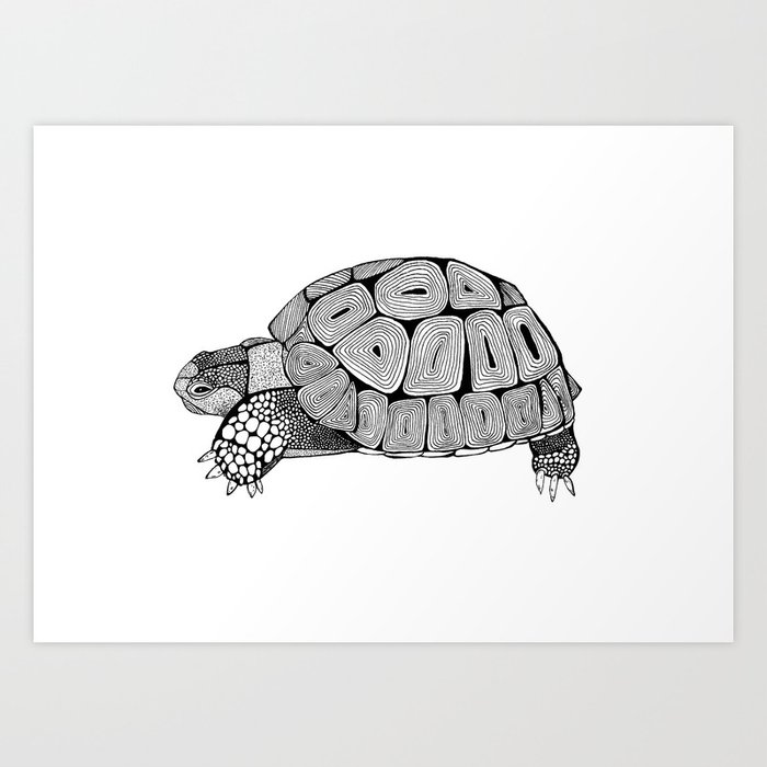 Black and White Tortoise Art Print