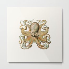 Octopus Metal Print | Print, Art, Coast, Painting, Octopus, Summer, Haeckel, Vintage, Summertime, Ocean 