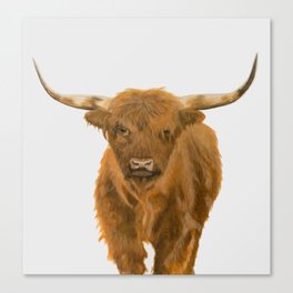 Highland Cow Canvas Print