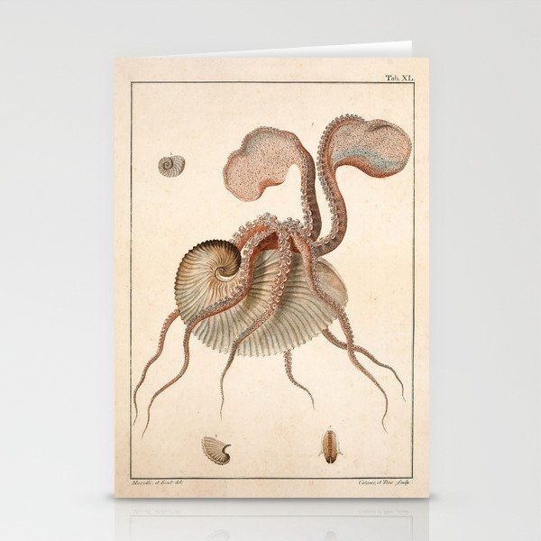 Argonauta Argo octopus (paper nautilus) from an Italian natural history book, 1791 Stationery Cards