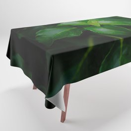 Shiny green leaves   Tablecloth