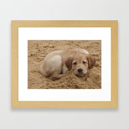 Só -Sand Dogs Series (Cachorros de Areia) - por Gustavo Souto Framed Art Print