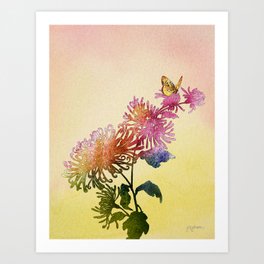 Butterfly on Chrysanthemum in watercolor Art Print