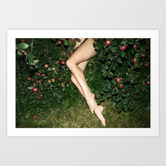 The Cider House Legs II Art Print