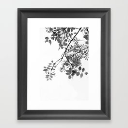 Tree Branches Black And White Forest Framed Art Print
