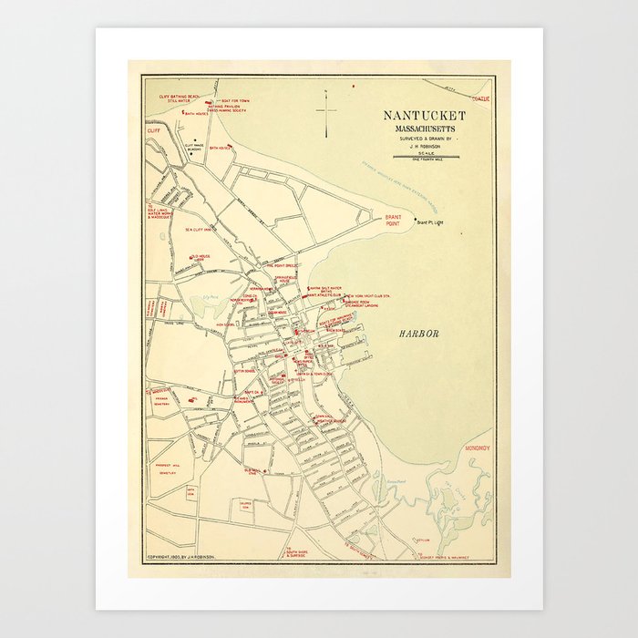 Art Print