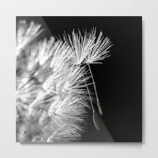 hold on Metal Print
