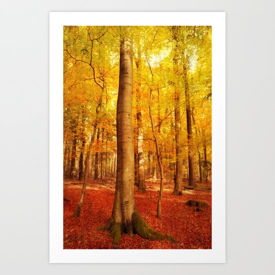accompanying Art Print