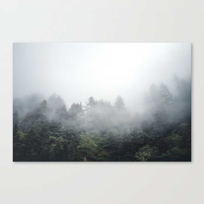 Foggy Forest Oregon Coast Landscape Photography Canvas Print