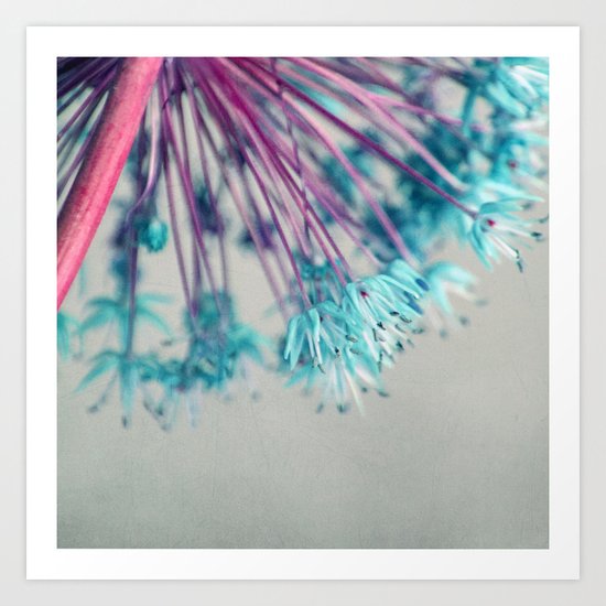 blue allium Art Print