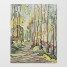 Aspen Path Canvas Print