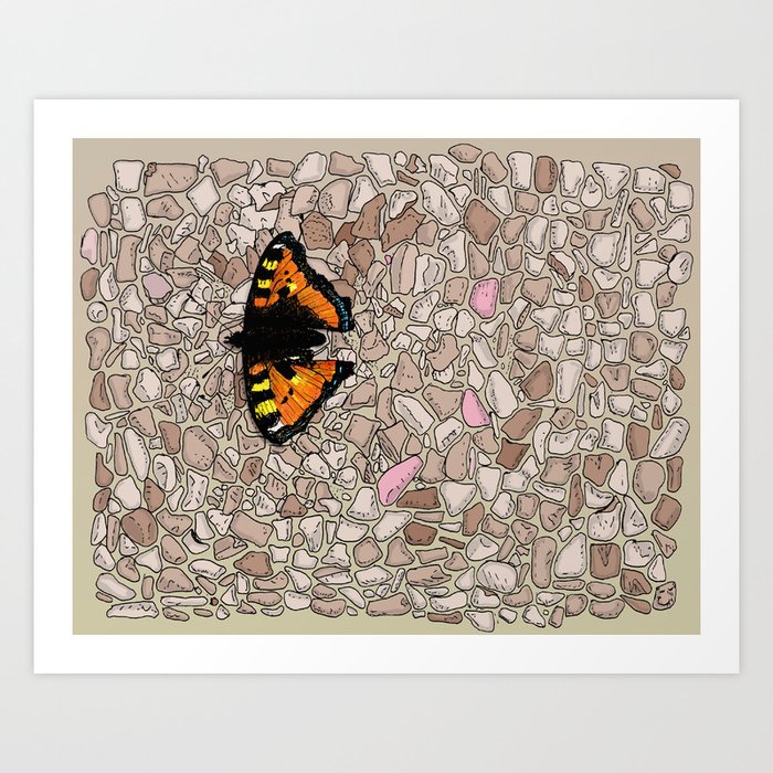Butterfly on a stone wall Art Print