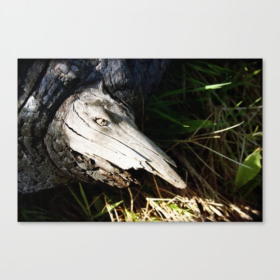 Monster in a Tree Canvas Print