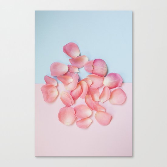 Rose petals Canvas Print