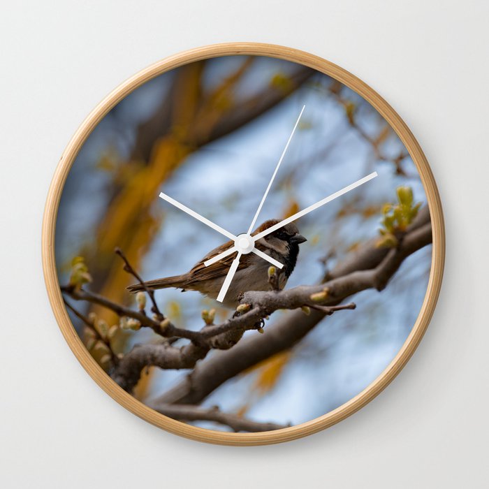 House Sparrow Wall Clock