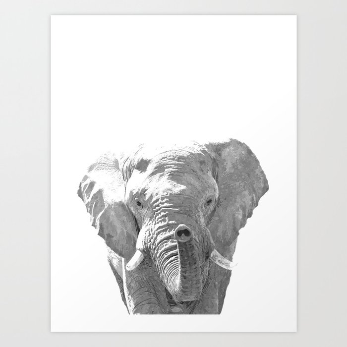 Black And White Elephant Illustration Art Print