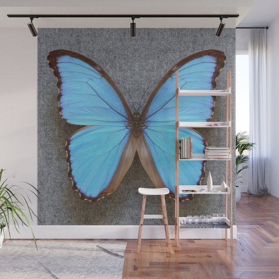 Blue Morpho Butterfly On Grey Wall Mural By Alysonfennellphotography Society6