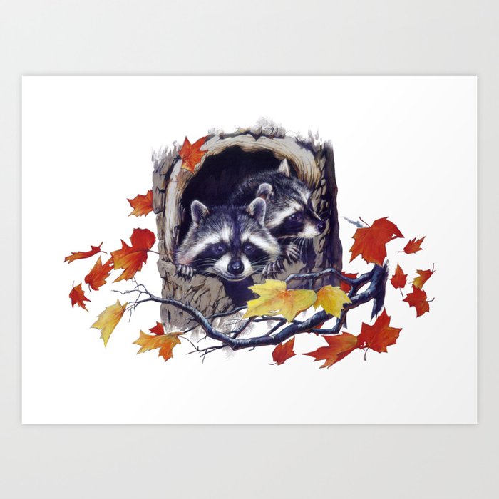 Raccoon Nest Art Print