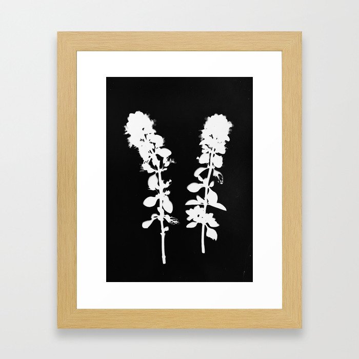 Botanical Photogram Framed Art Print