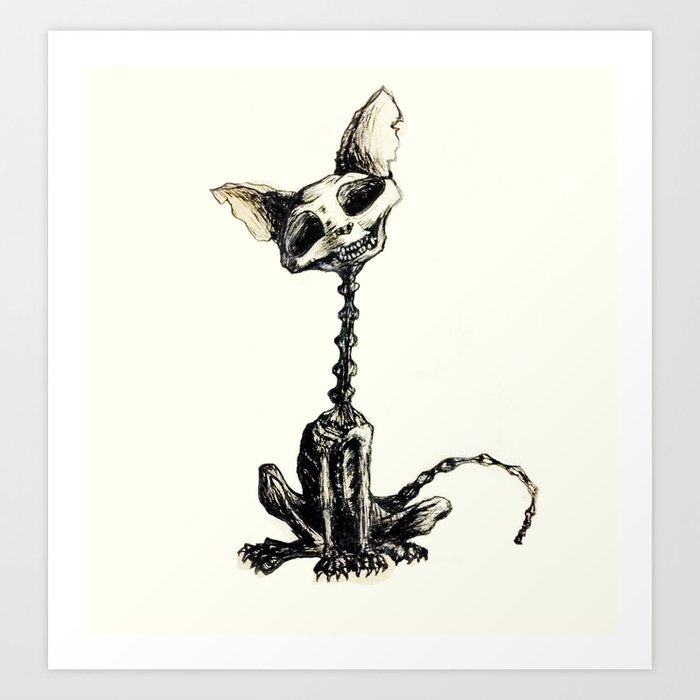 skeleton cat drawing