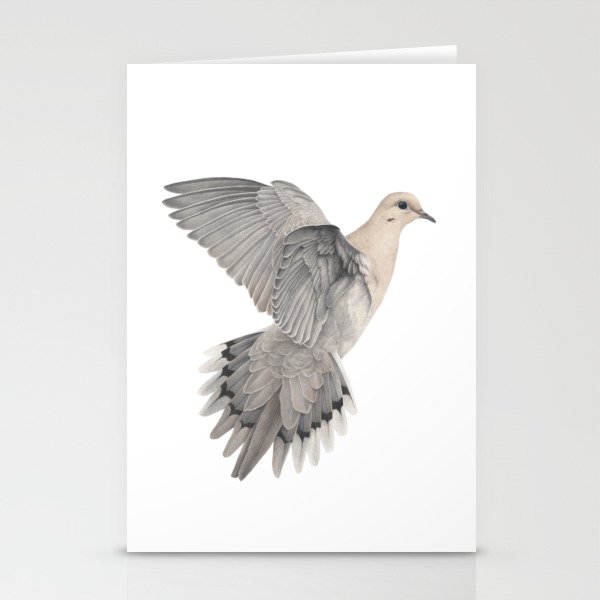 Mourning Dove Stationery Cards