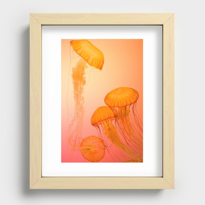 Jellyfish Recessed Framed Print
