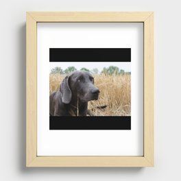 Hunting Dog Recessed Framed Print