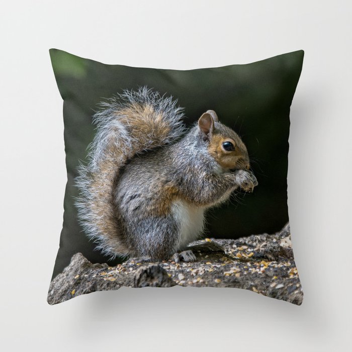 squirrel pillow pet