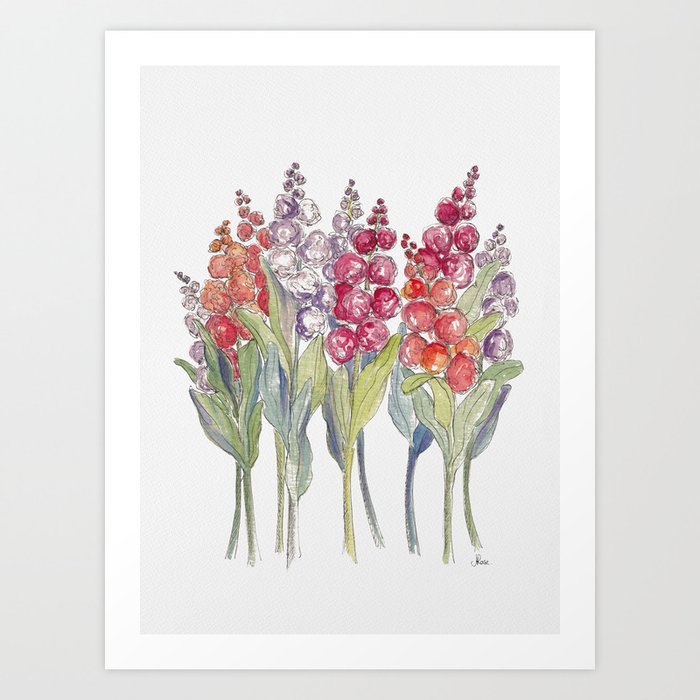 Rainbow Stock Flowers Art Print