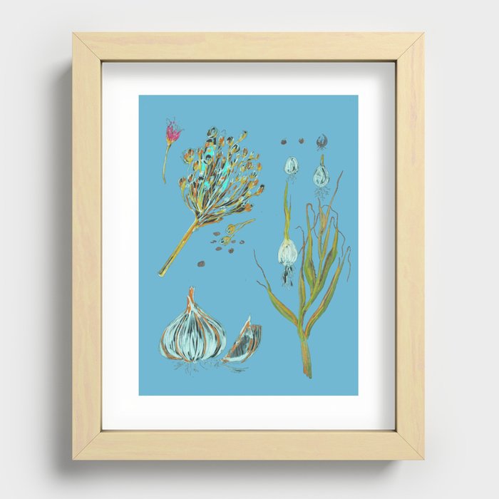 Garlic Drawing Blue background Recessed Framed Print