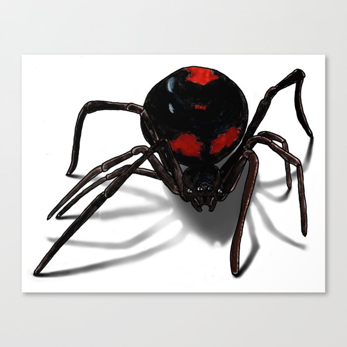 Black Widow Spider Canvas Print