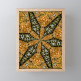 Kaleidoscope - Lichen on Post Framed Mini Art Print