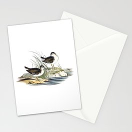 Vintage Fairy Sandpiper Bird Illustration Stationery Card