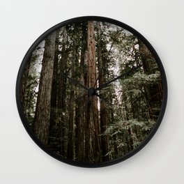 Redwood Forest Dreams Wall Clock