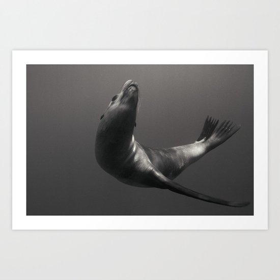 A quiet moment Art Print