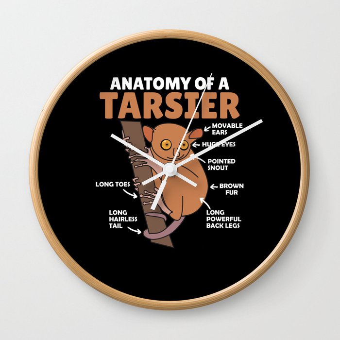 Cute Tarsier Anatomy Of A Tarsier Explanation Wall Clock by Dalukey