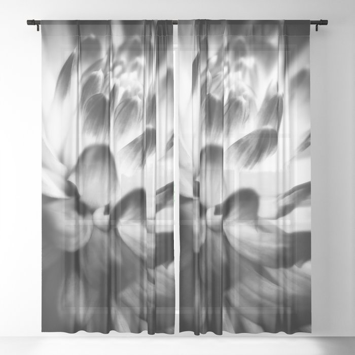 Dramatic Black And White Dahlia Sheer Curtain