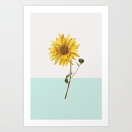 Sunflower Mid Century Modern Retro Botanical Yellow Flower Vintage Art Print