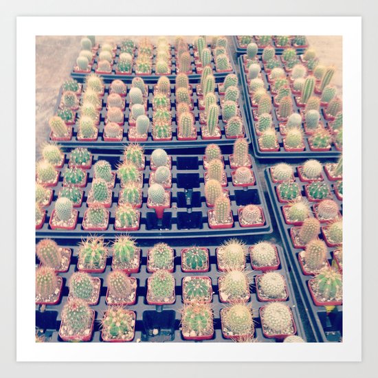 cacti Art Print