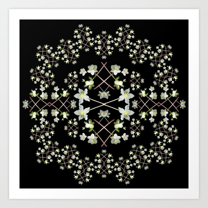 Snowflake Art Print | Collage, Nature, Digital, Pattern, Helleborus, Christmas, Xmas, Flower, Winter