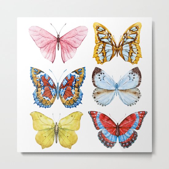 Butterflies 01 Metal Print