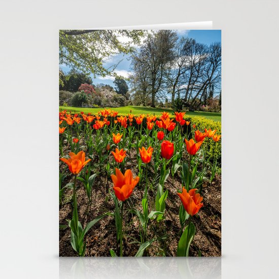 Spring Meadow Stationery Cards