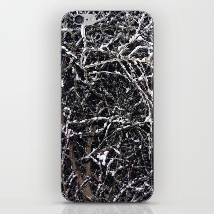 Skeleton of a Tree iPhone Skin
